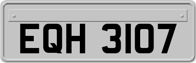 EQH3107
