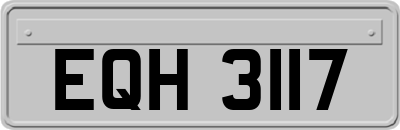 EQH3117