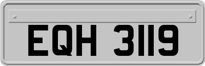 EQH3119