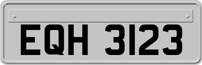 EQH3123