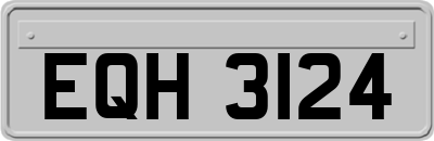 EQH3124