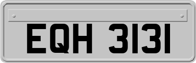 EQH3131