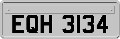 EQH3134