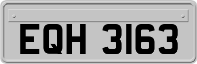 EQH3163