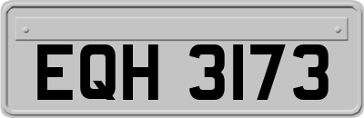 EQH3173