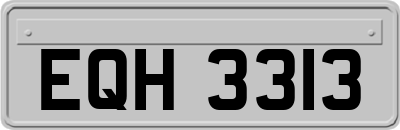 EQH3313