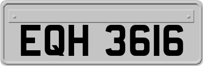 EQH3616