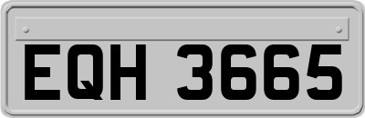 EQH3665