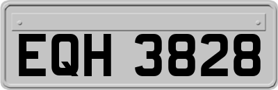 EQH3828
