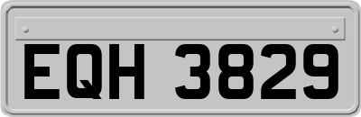 EQH3829