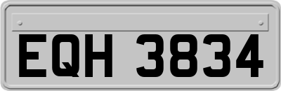 EQH3834