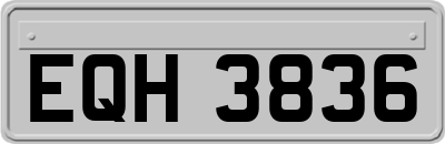 EQH3836