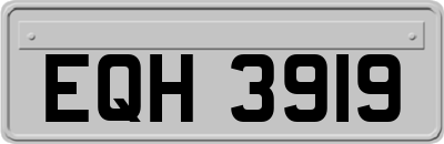 EQH3919