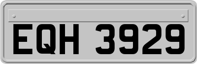 EQH3929