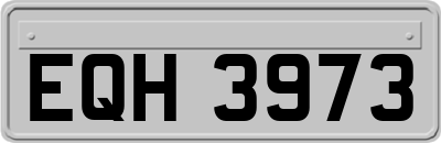 EQH3973