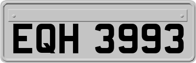 EQH3993