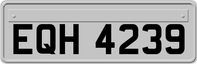 EQH4239