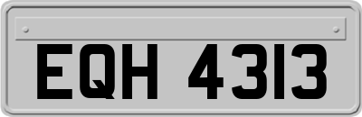 EQH4313