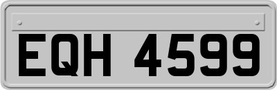EQH4599