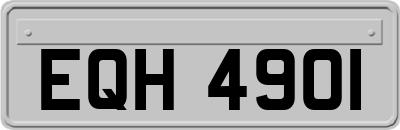 EQH4901