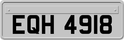 EQH4918