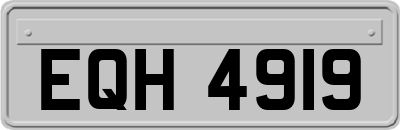 EQH4919