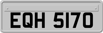 EQH5170