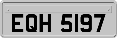 EQH5197