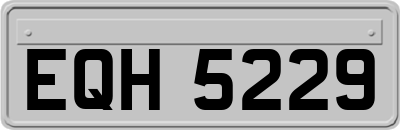 EQH5229