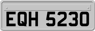 EQH5230