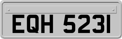 EQH5231