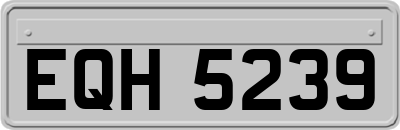 EQH5239