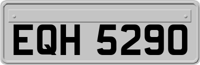 EQH5290