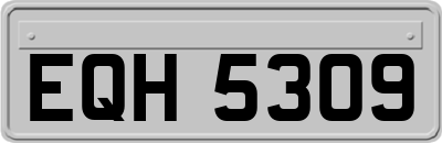 EQH5309