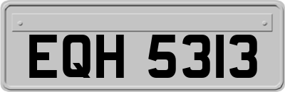 EQH5313