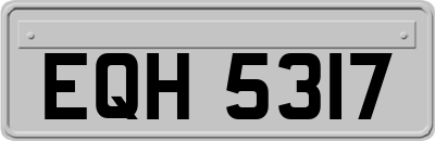 EQH5317