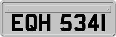 EQH5341