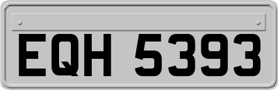 EQH5393