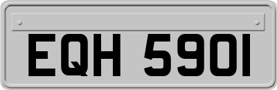EQH5901