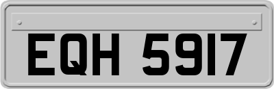 EQH5917