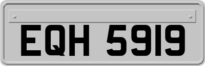 EQH5919
