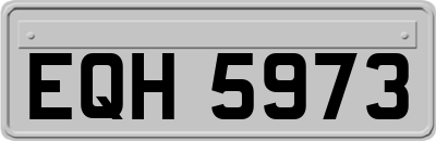 EQH5973