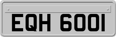 EQH6001
