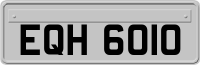 EQH6010
