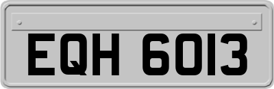 EQH6013