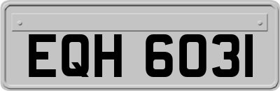 EQH6031