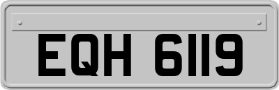 EQH6119