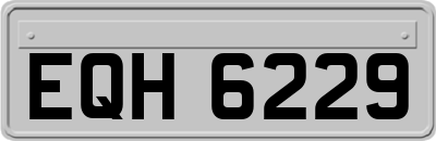 EQH6229