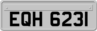 EQH6231