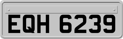 EQH6239